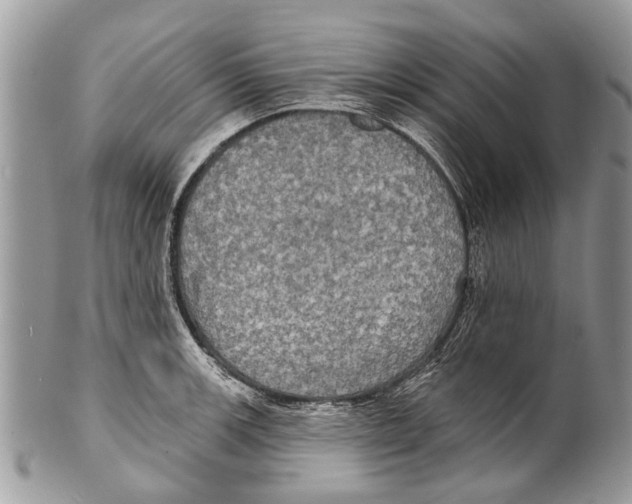 X0000101161139200807251105