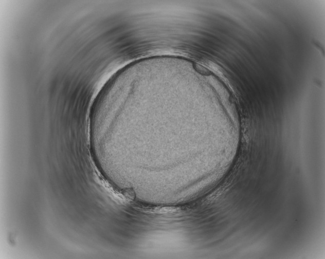 X0000101161140200807251105