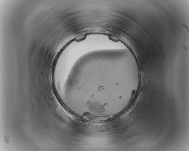 X0000101161141200807251105