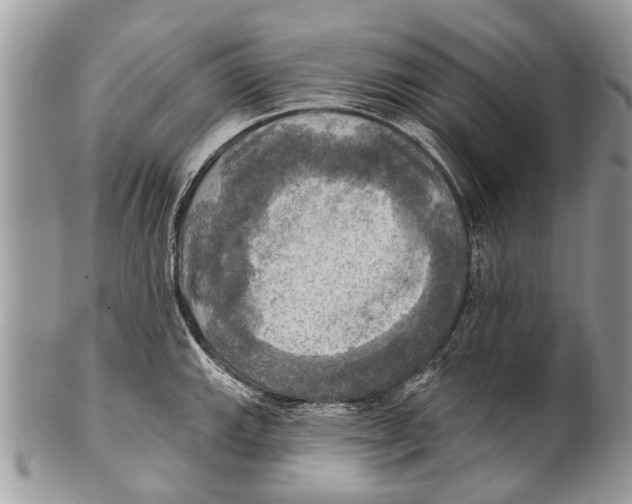 X0000101161143200807251105