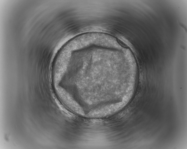 X0000101161144200807251105