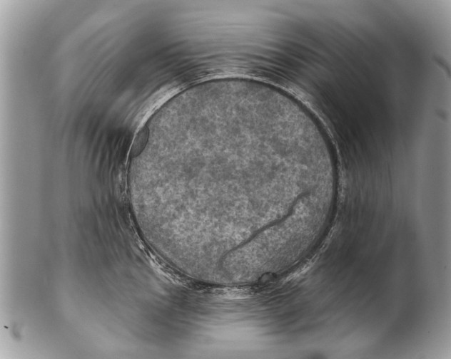 X0000101161145200807251105