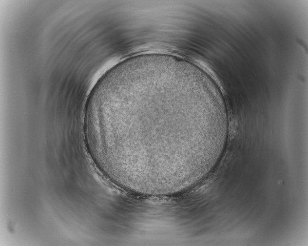 X0000101161146200807251105