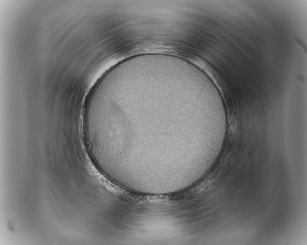 X0000101161147200807251105