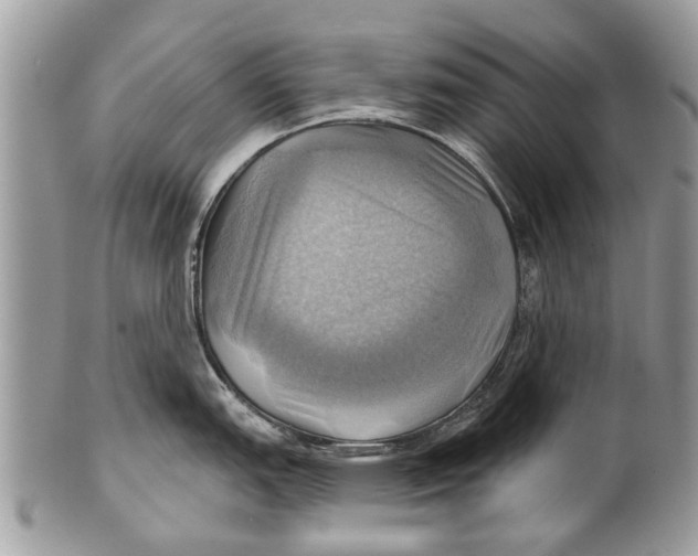 X0000101161151200807251105