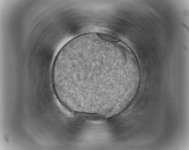 X0000101161152200807251105