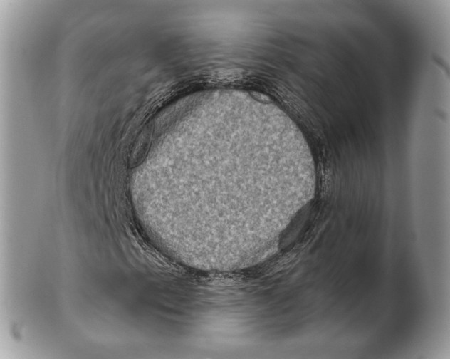 X0000101161153200807251104
