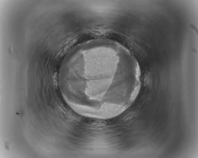 X0000101161156200807251104