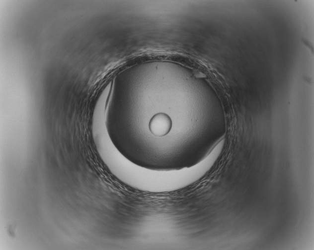 X0000101161157200807251104