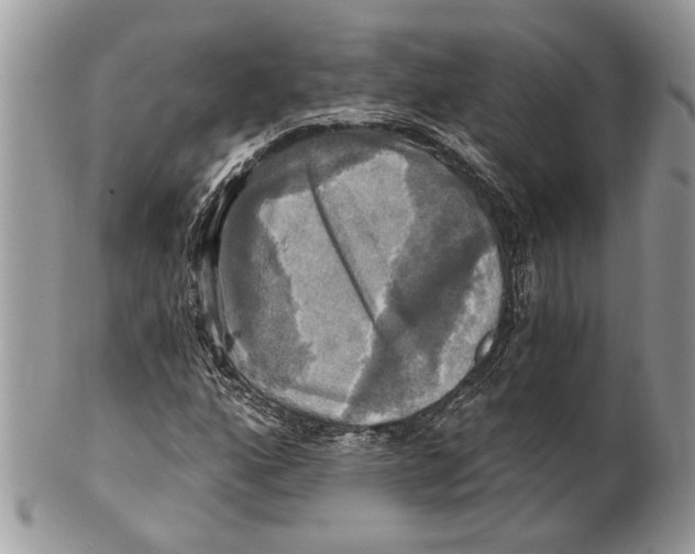 X0000101161160200807251104