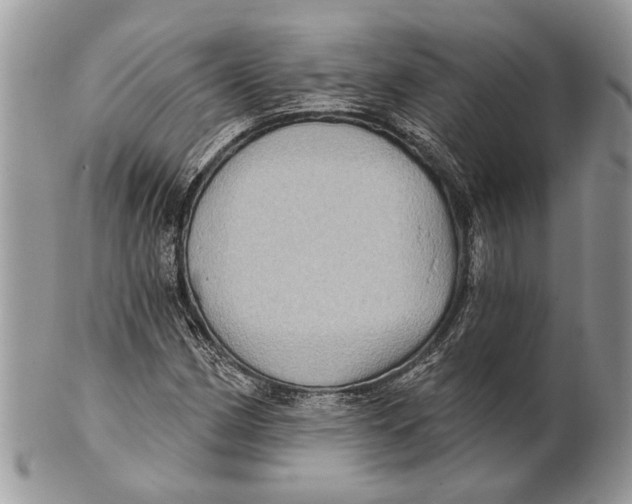 X0000101161162200807251104