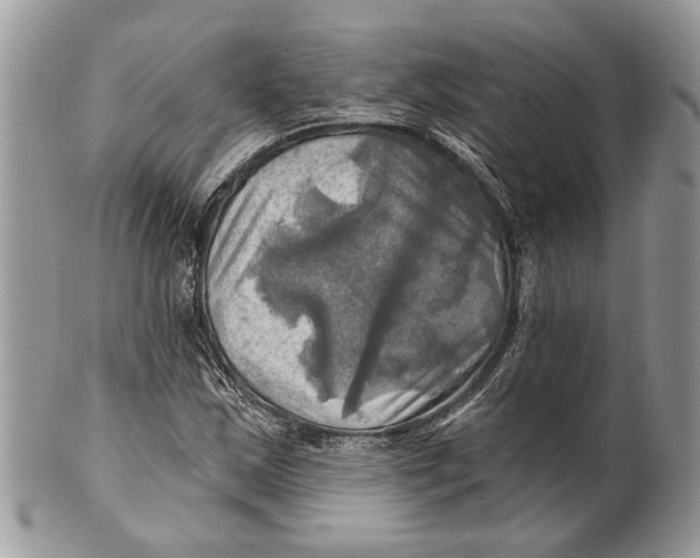 X0000101161163200807251104
