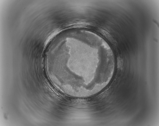 X0000101161164200807251104