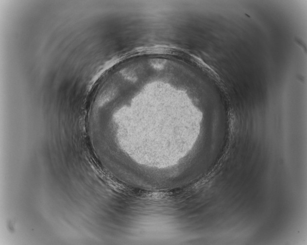 X0000101161166200807251104