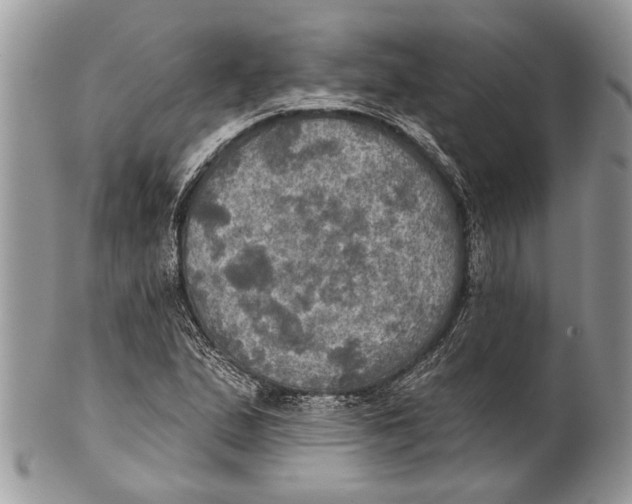 X0000101161167200807251104