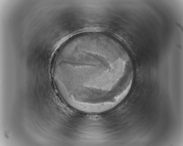 X0000101161168200807251104