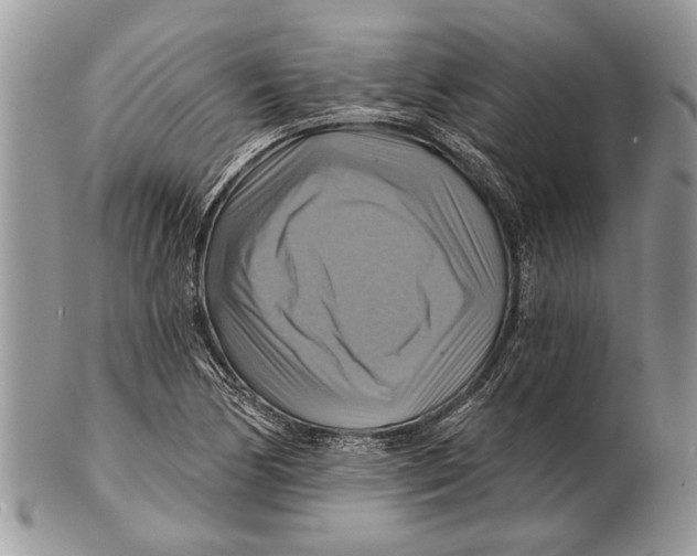 X0000101161170200807251104