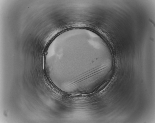 X0000101161171200807251104