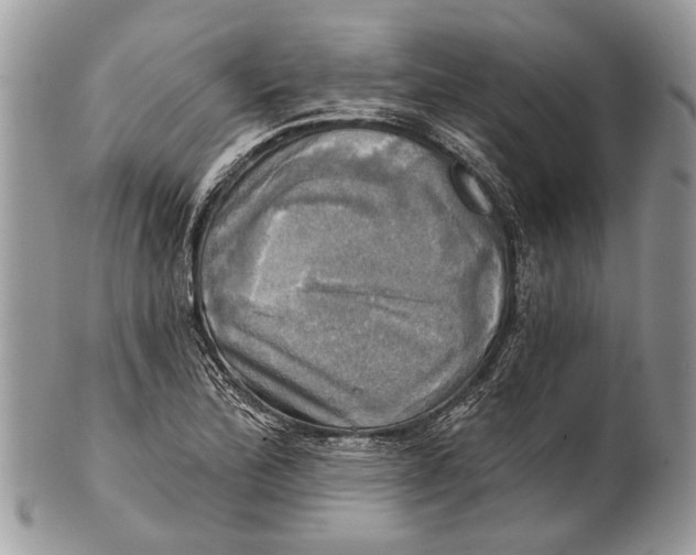 X0000101161172200807251104