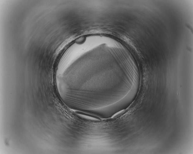 X0000101161173200807251104