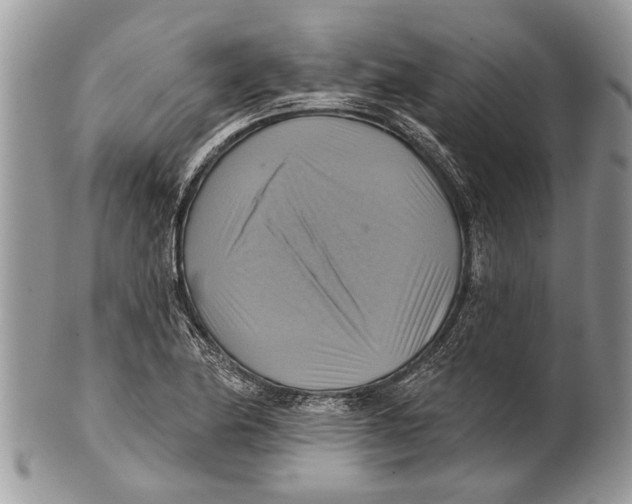 X0000101161174200807251104
