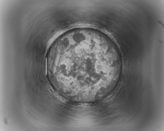 X0000101161175200807251104