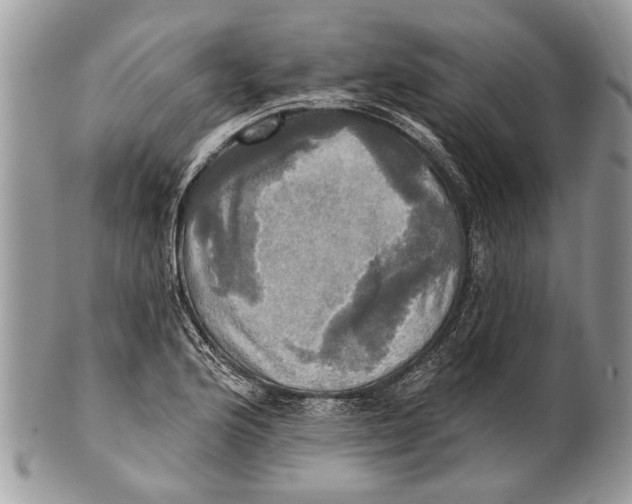 X0000101161176200807251104