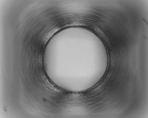 X0000101161177200807251104