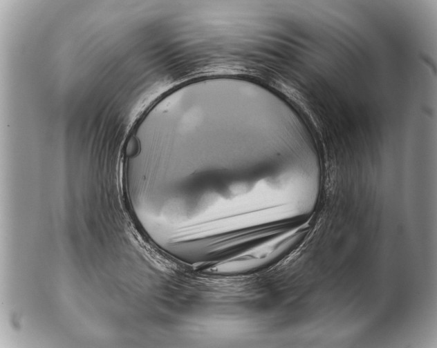 X0000101161179200807251104