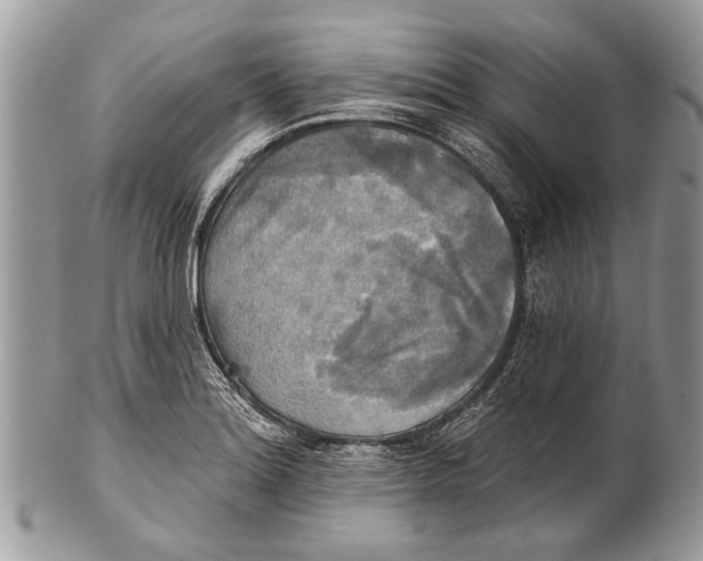X0000101161180200807251104