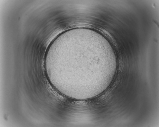 X0000101161182200807251104