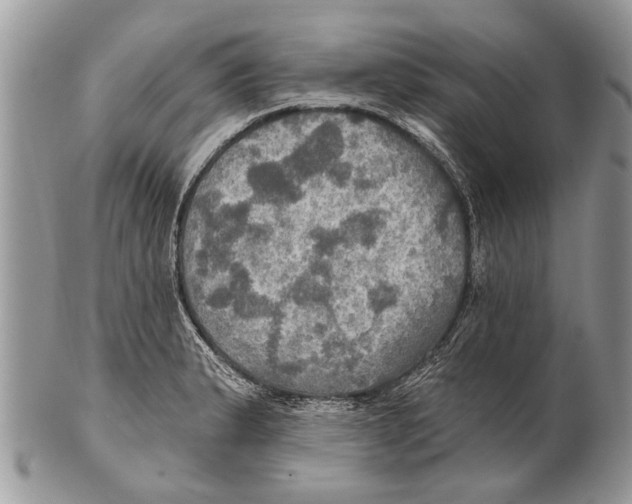 X0000101161183200807251104