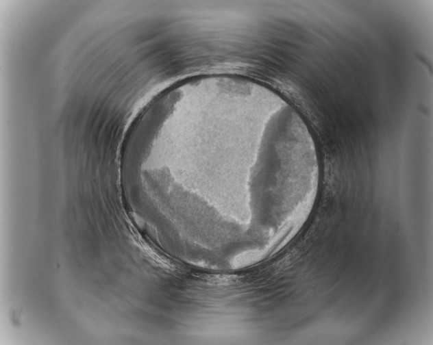 X0000101161184200807251104