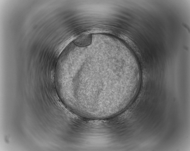 X0000101161185200807251104