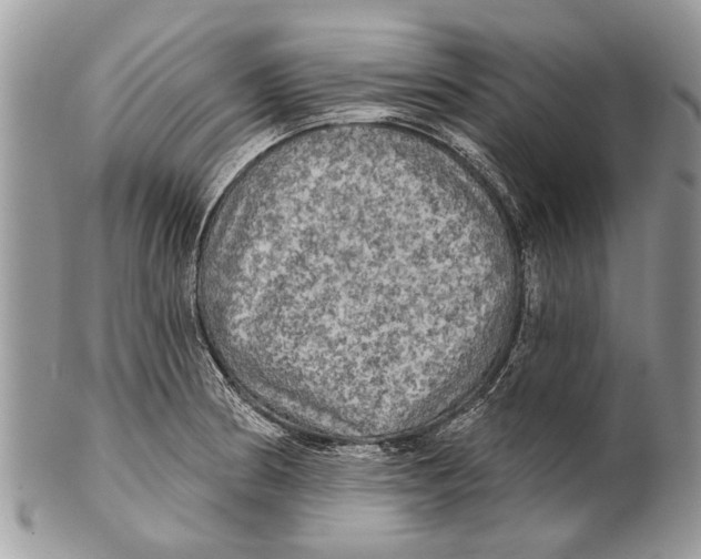 X0000101161186200807251104