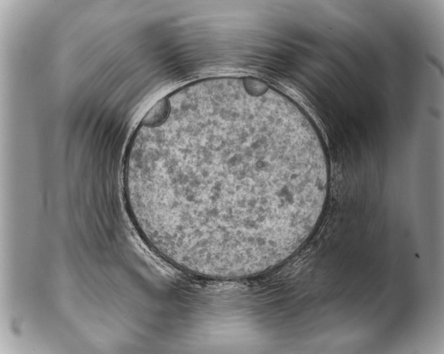 X0000101161187200807251104