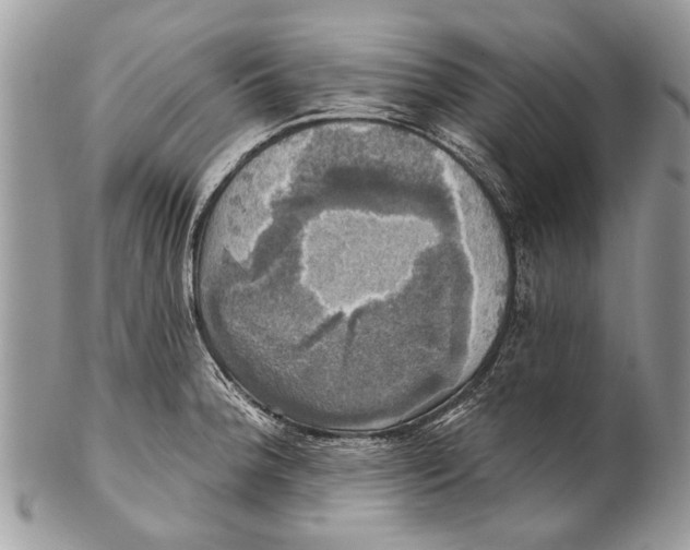 X0000101161188200807251104