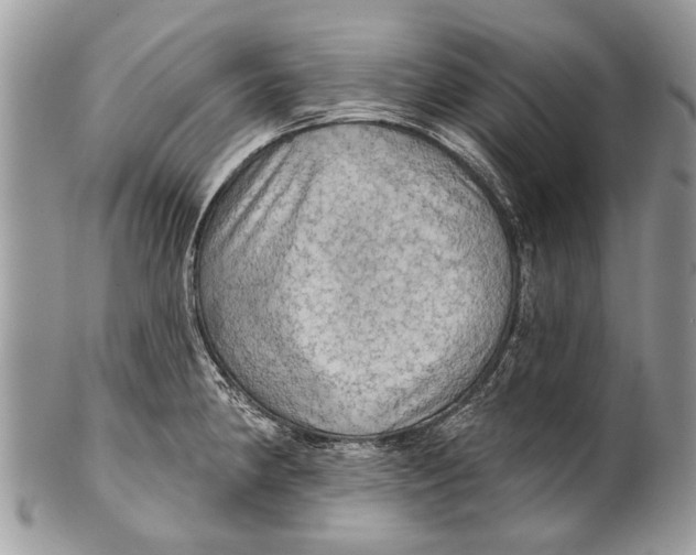 X0000101161190200807251104