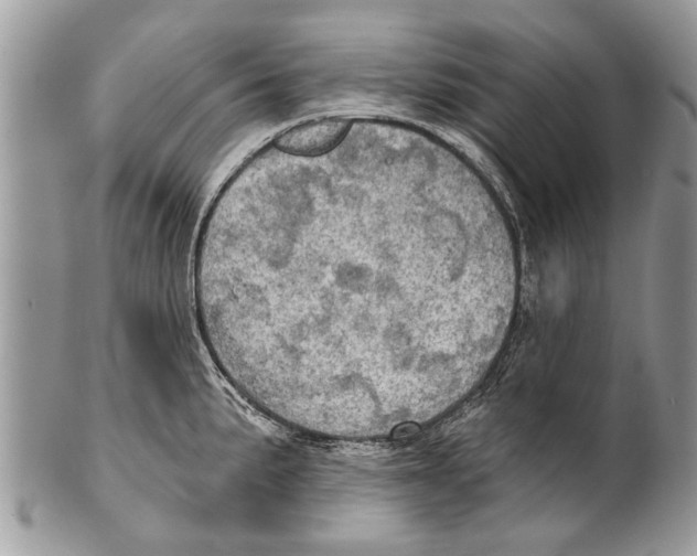 X0000101161191200807251104