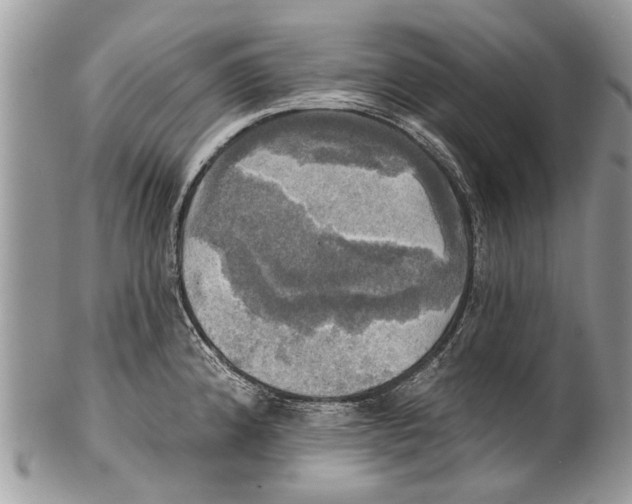 X0000101161192200807251104