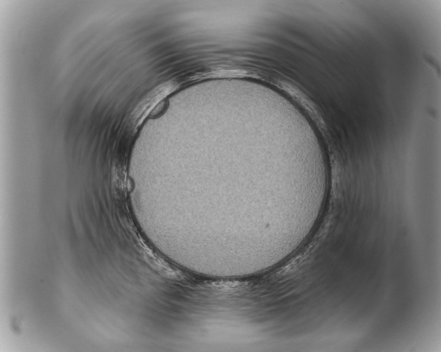X0000101161193200807251103