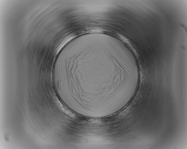 X0000101161194200807251103
