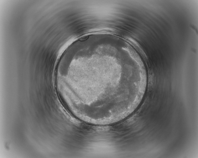 X0000101161196200807251103