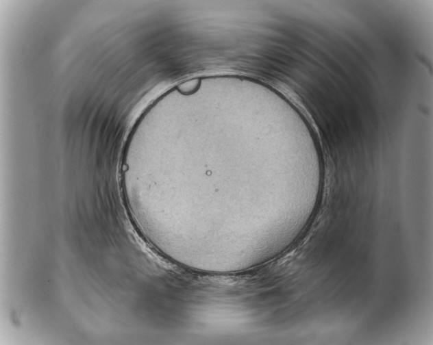 X0000101161197200807251103