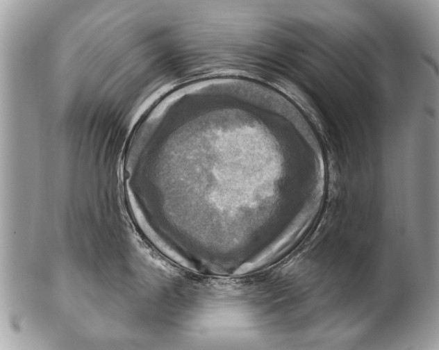 X0000101161198200807251103