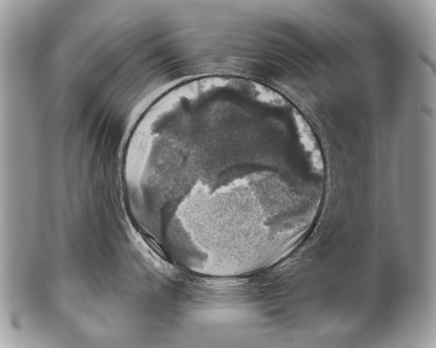 X0000101161200200807251103