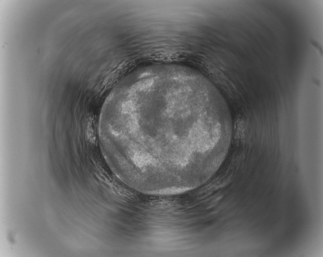 X0000101161202200807251103