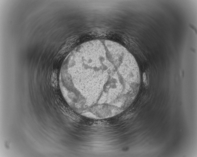 X0000101161203200807251103