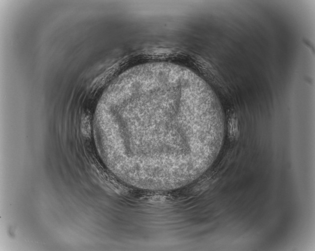 X0000101161204200807251103