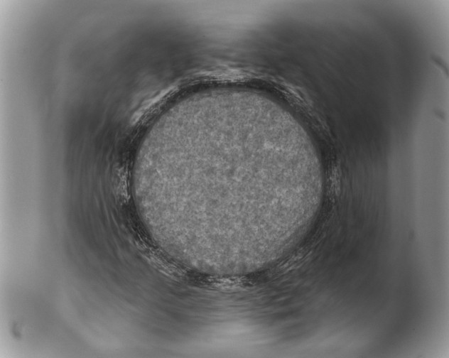 X0000101161205200807251103